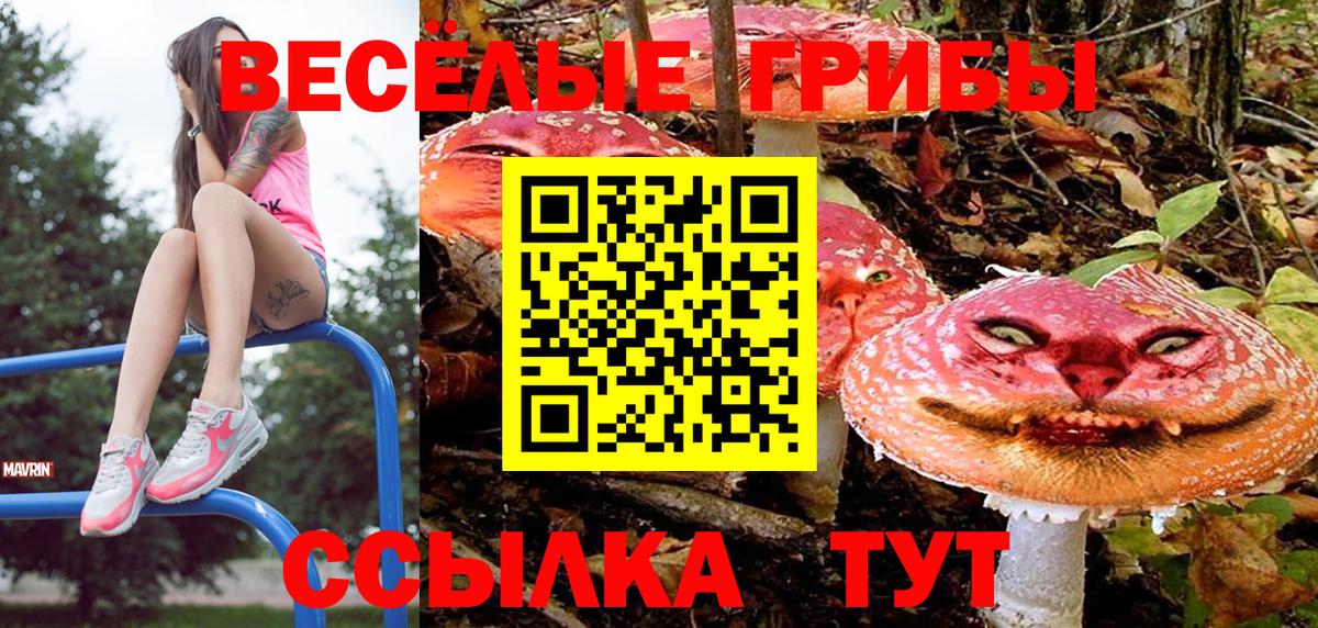 Галлюциногенные грибы ЛСД  наркошоп  Полевской  Вход с VPN 